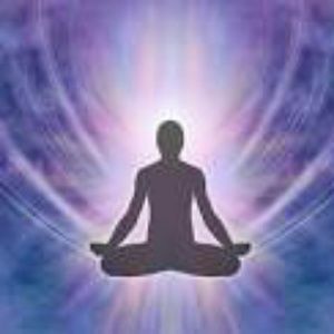 Meet your Posher, Dixie